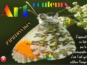 art_et_couleurs_34_papillonnages__roland