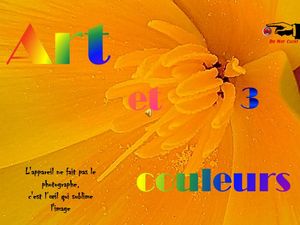 art_et_couleurs_3__roland