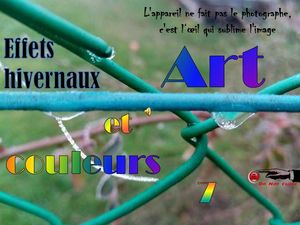 art_et_couleurs_7_effets_hivernaux__roland