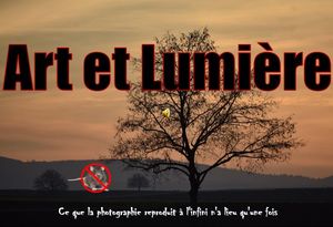 art_et_lumiere__roland