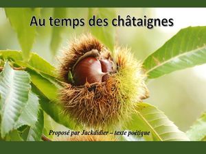 au_temps_des_chataignes__jackdidier