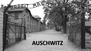 auschwitz_mauricette3