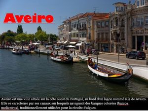 aveiro_ibolit