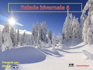 balade_hivernale_4_michel