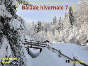 balade_hivernale_7_michel