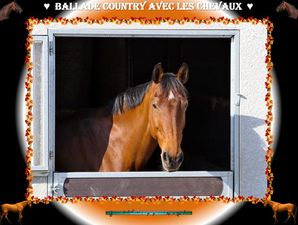 ballade_country_avec_les_chevaux_fabie_01_19