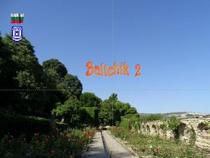 baltchik_2__stellinna