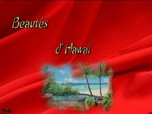 beautes_d_hawai__dede_51