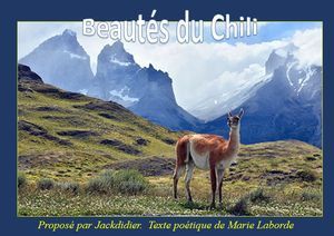 beautes_du_chili_jackdidier