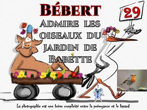 bebert_admire_les_oiseaux_du_jardin_de_babette__roland