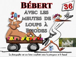 bebert_avec_les_meutes_de_loups_a_rhodes__roland