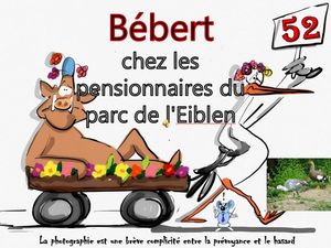 bebert_chez_les_pensionnaires_de_l_eiblen__roland