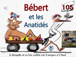 bebert_et_les_anatides__roland