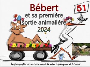bebert_sa_premiere_sortie_animaliere_2024__roland