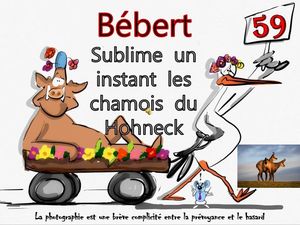 bebert_sublime_les_chamois_du_hohneck__roland