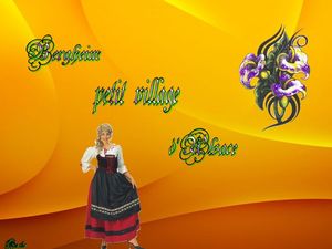 bergheim_petit_village_d_alsace__dede_51