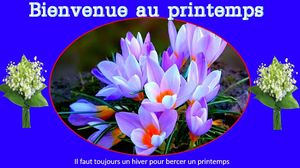 bienvenue_au_printemps_maumau