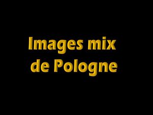 bilder_mix_aus_polen