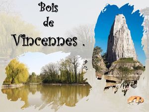 bois_de_vincennes___p_sangarde