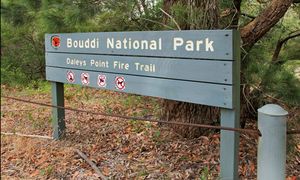 bouddi_national_park