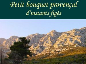 bouquet_provencal_11