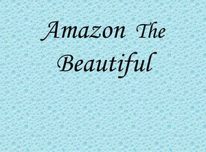 bresil_amazon_6500km_andes