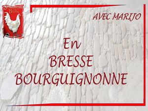 bresse_bourguignonne__marijo