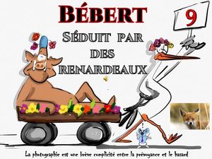 bébert_seduit_par_des_renardeaux__roland