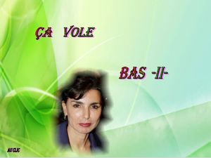 ca_vole_bas_2_dede_51