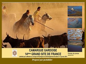 camargue_gardoise__jackdidier