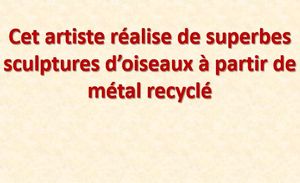 cet_artiste_realise_de_superbe_sculptures_d_oisaux_mauricette3