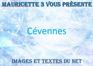 cevennes_mauricette3