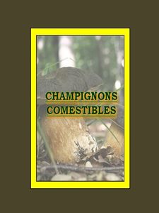 champignons_comestibles_et_dangereux