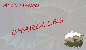 charolles__marijo