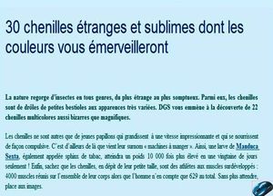 chenilles