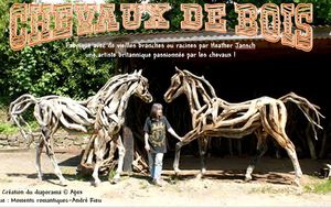 chevaux_de_bois__apex