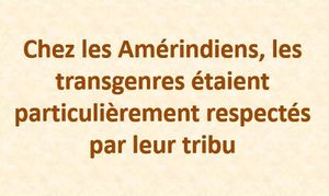 chez_les_amerindiens_les_transgenres_etaient_respectes_mauricette3