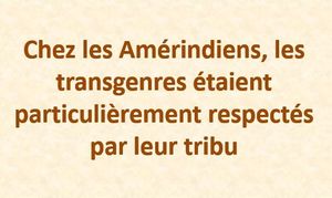 chez_les_amerindiens_les_transgenres_etaient_respectes_mauricette3