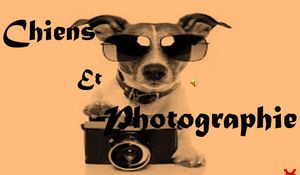 chiens_et_photographie_roland