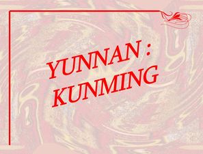 chine_4_yunnan_kunming_marijo