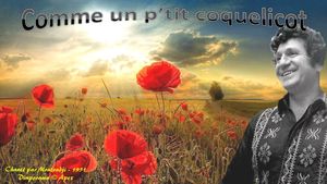 comme_un_petit_coquelicot_apex