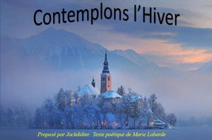 contemplons_l_hiver_jackdidier