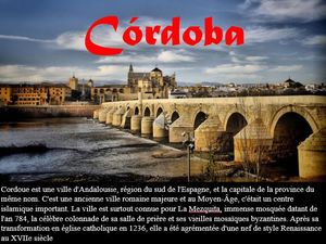 cordoba_ibolit