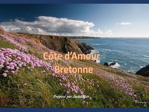 cote_d_amour_bretonne__jackdidier