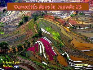 curiosites_dans_le_monde_25_michel