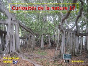 curiosites_de_la_nature_17_michel