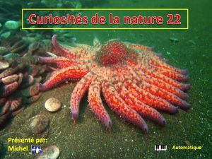 curiosites_de_la_nature_22_michel