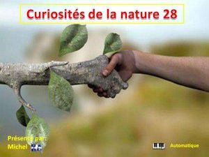 curiosites_de_la_nature_28_michel