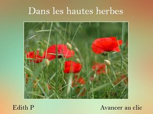 dans_les_hautes_herbes_edith_p