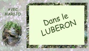 dans_luberon__marijo